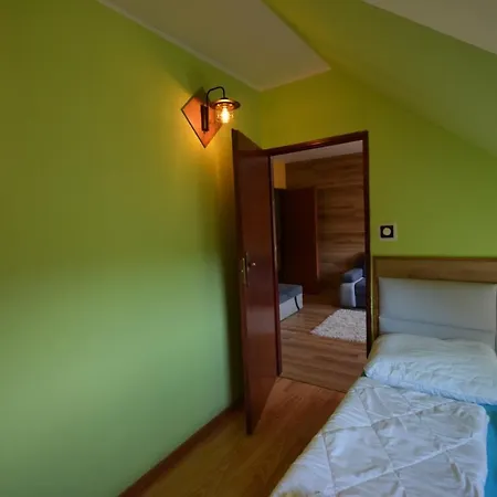 Pod Modrzewiem Mieszkania Wakacyjne Duszniki Zdroj Exterior photo