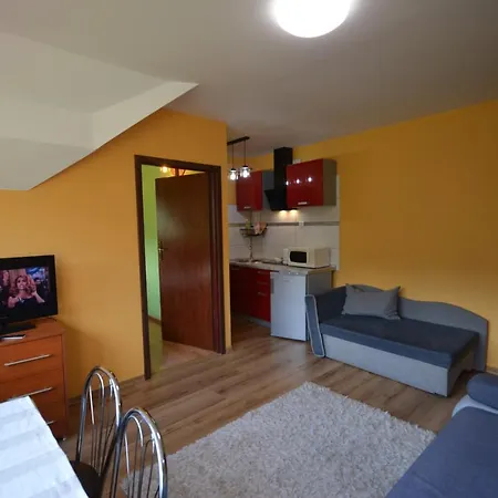 Pod Modrzewiem Mieszkania Wakacyjne Duszniki Zdroj Exterior photo
