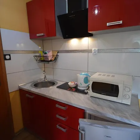 Pod Modrzewiem Mieszkania Wakacyjne Duszniki Zdroj Exterior photo