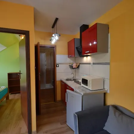 Pod Modrzewiem Mieszkania Wakacyjne Duszniki Zdroj Exterior photo