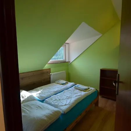 Pod Modrzewiem Mieszkania Wakacyjne Duszniki Zdroj Exterior photo
