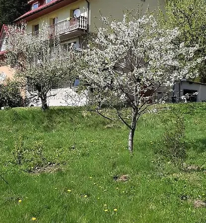 Pod Modrzewiem Mieszkania Wakacyjne Duszniki Zdroj Exterior photo