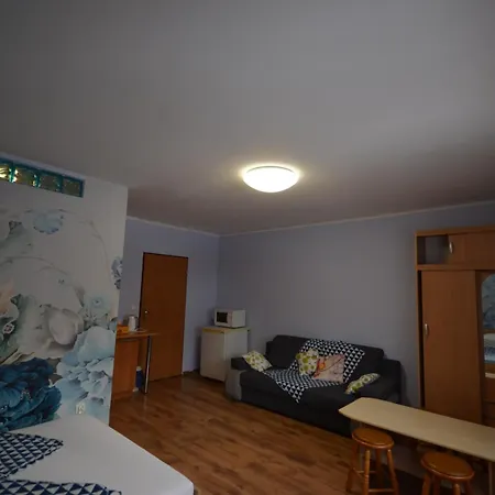 Pod Modrzewiem Mieszkania Wakacyjne Duszniki Zdroj Exterior photo