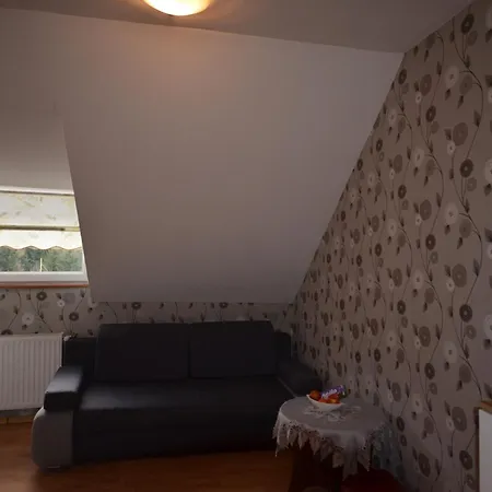 Pod Modrzewiem Mieszkania Wakacyjne Duszniki Zdroj Exterior photo