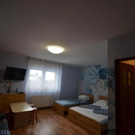 Pod Modrzewiem Mieszkania Wakacyjne Duszniki Zdroj Exterior photo