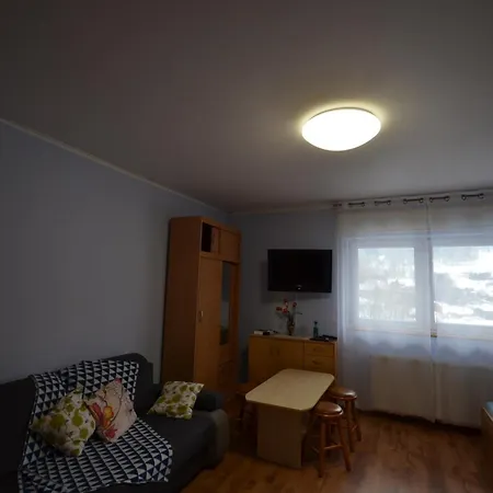 Pod Modrzewiem Mieszkania Wakacyjne Duszniki Zdroj Exterior photo