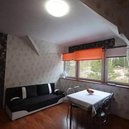 Pod Modrzewiem Mieszkania Wakacyjne Duszniki Zdroj Exterior photo