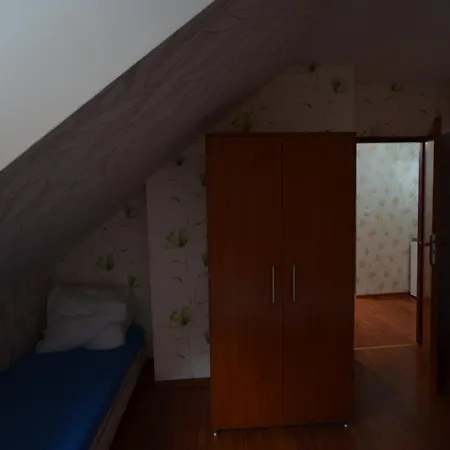 Pod Modrzewiem Mieszkania Wakacyjne Duszniki Zdroj Exterior photo