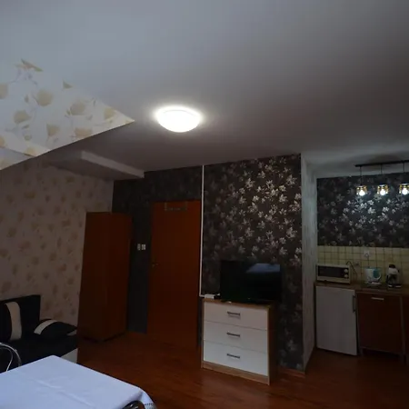 Pod Modrzewiem Mieszkania Wakacyjne Duszniki Zdroj Exterior photo