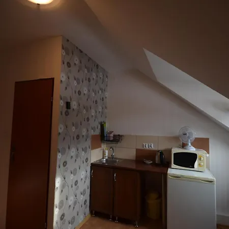 Pod Modrzewiem Mieszkania Wakacyjne Duszniki Zdroj Exterior photo