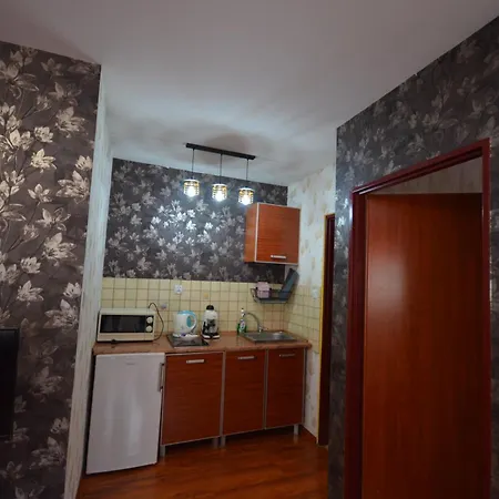 Pod Modrzewiem Mieszkania Wakacyjne Duszniki Zdroj Exterior photo