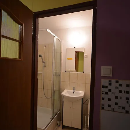 Pod Modrzewiem Mieszkania Wakacyjne Duszniki Zdroj Exterior photo