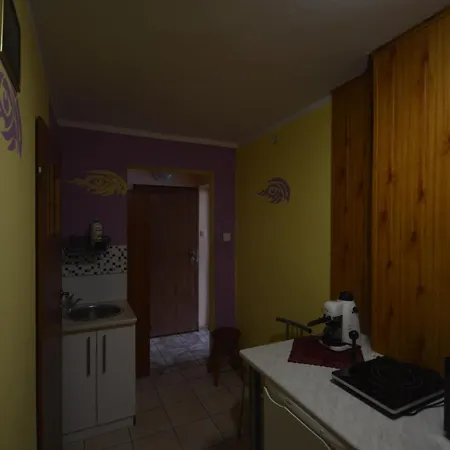 Pod Modrzewiem Mieszkania Wakacyjne Duszniki Zdroj Exterior photo