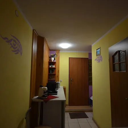 Pod Modrzewiem Mieszkania Wakacyjne Duszniki Zdroj Exterior photo