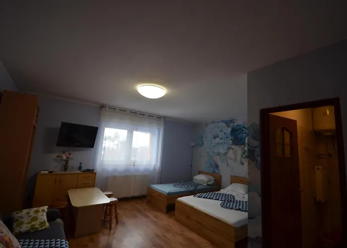 Pod Modrzewiem Mieszkania Wakacyjne